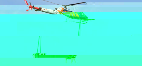 mihai_vasilescu_vaca_elicopter